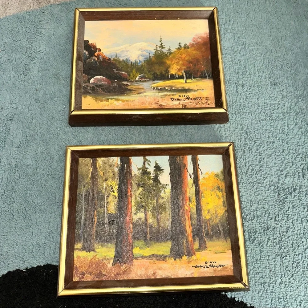 Signed James Hewitt Framed Nature Landscape Paintings - Picture 4 of 15